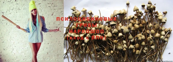 кокаин премиум Балабаново